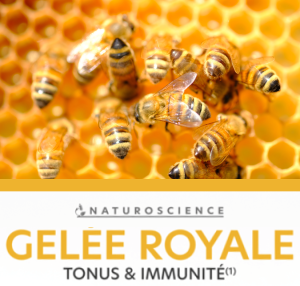 Gelée Royale
